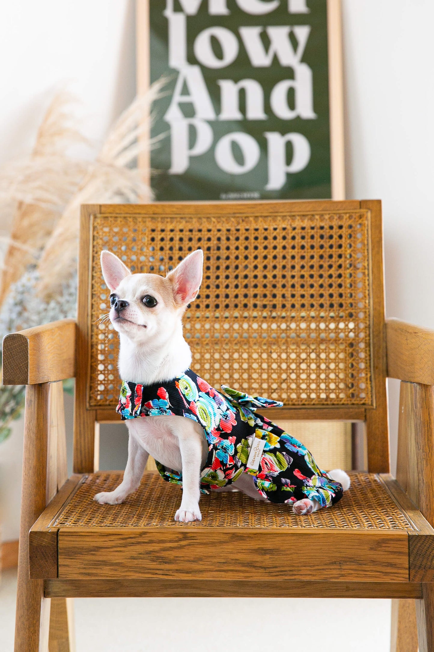 Dress Floral