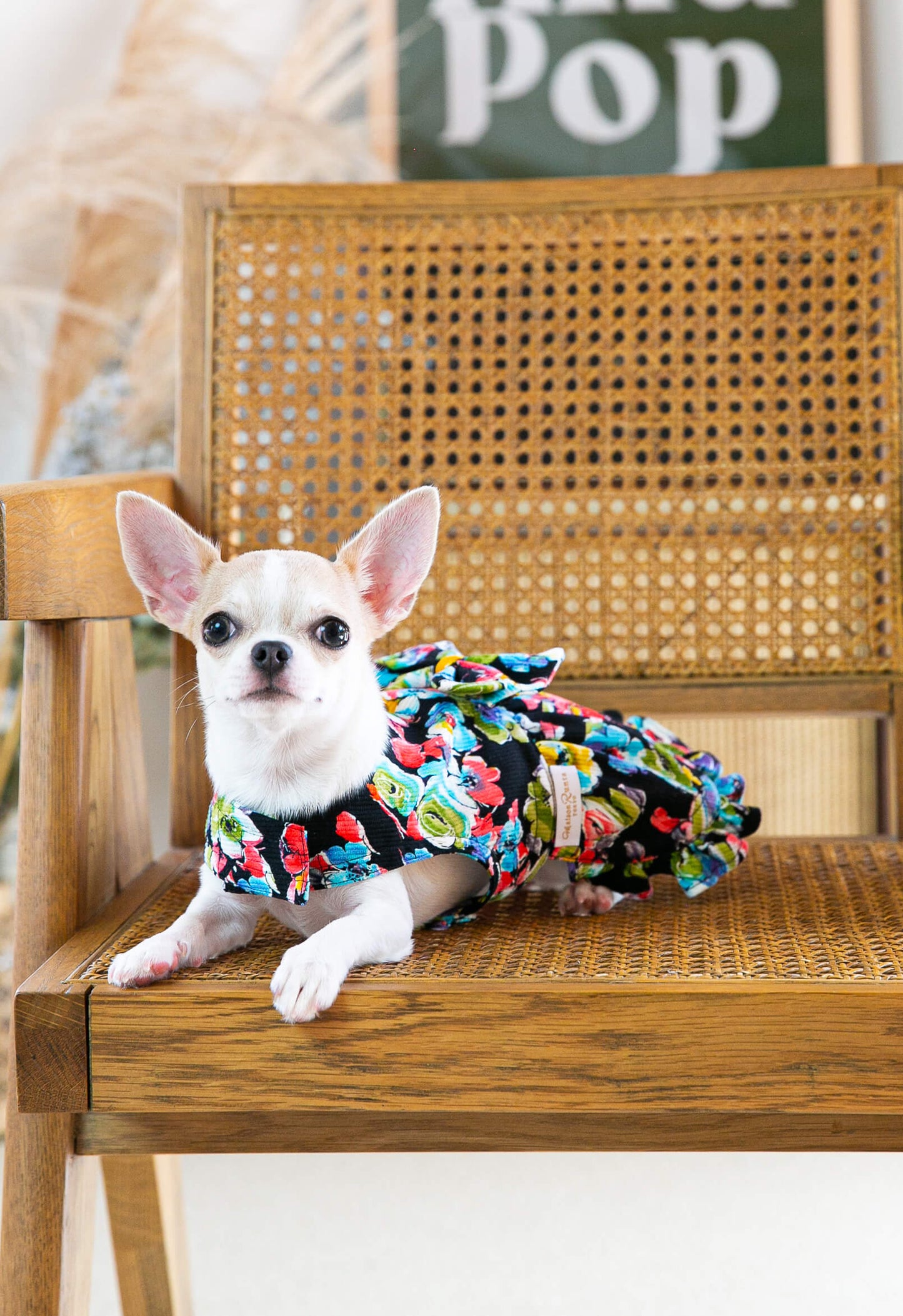 Dress Floral