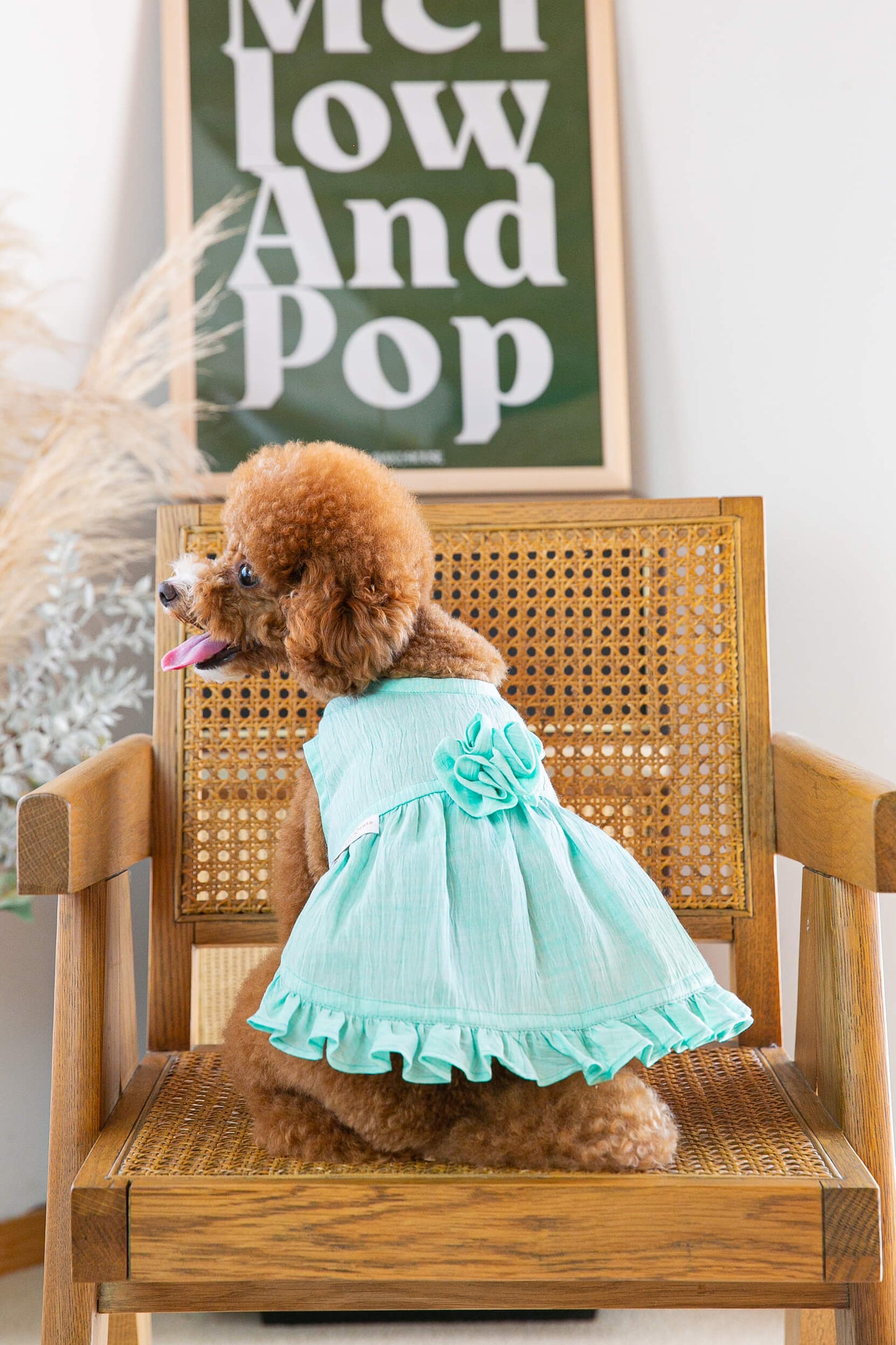 Dress Tiffany