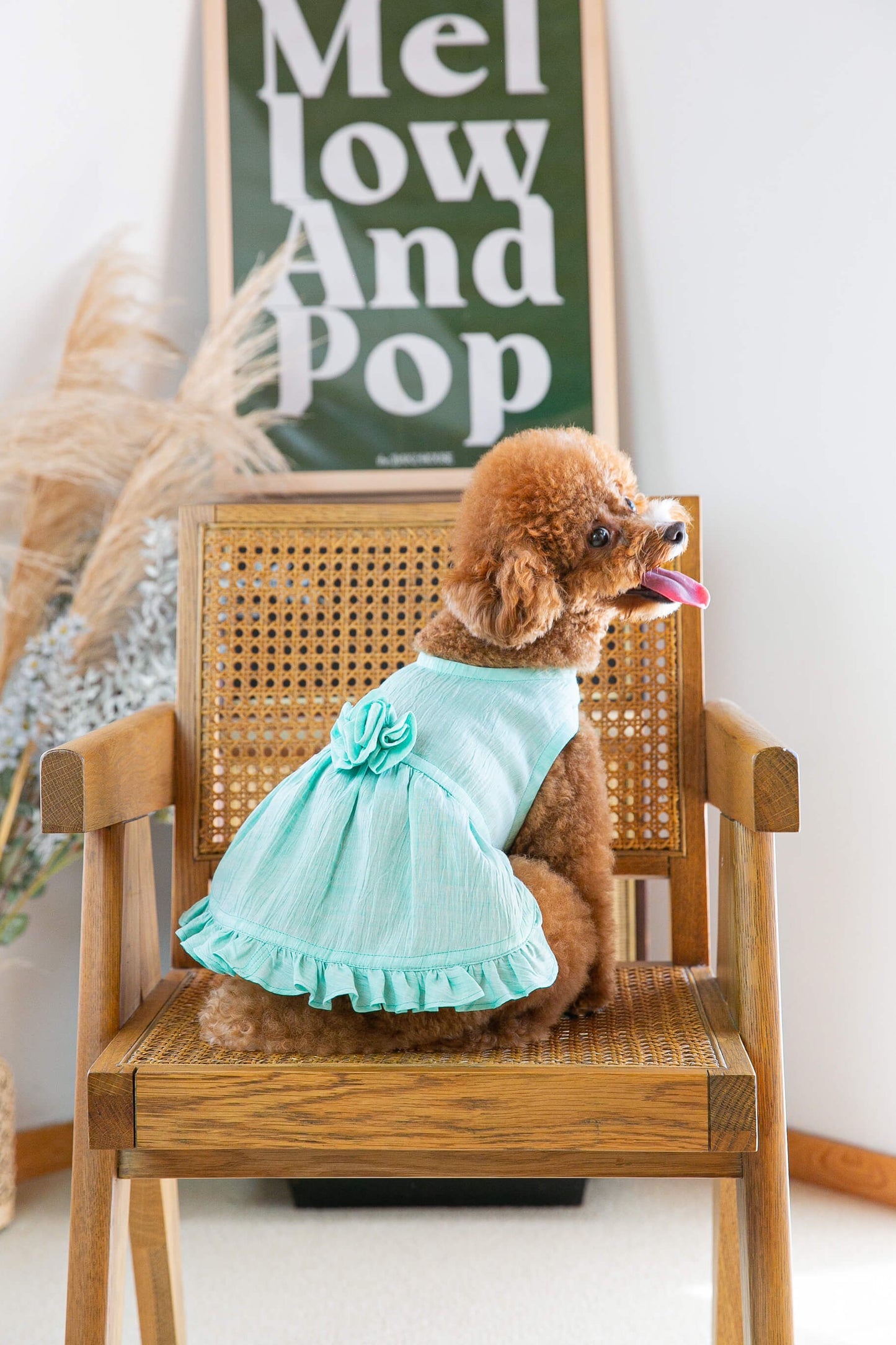 Dress Tiffany