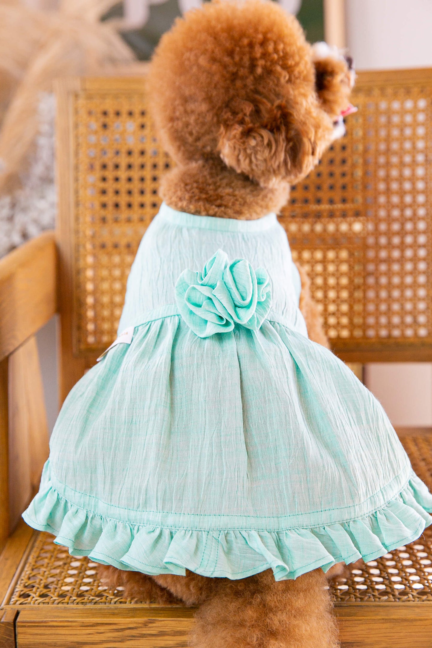 Dress Tiffany
