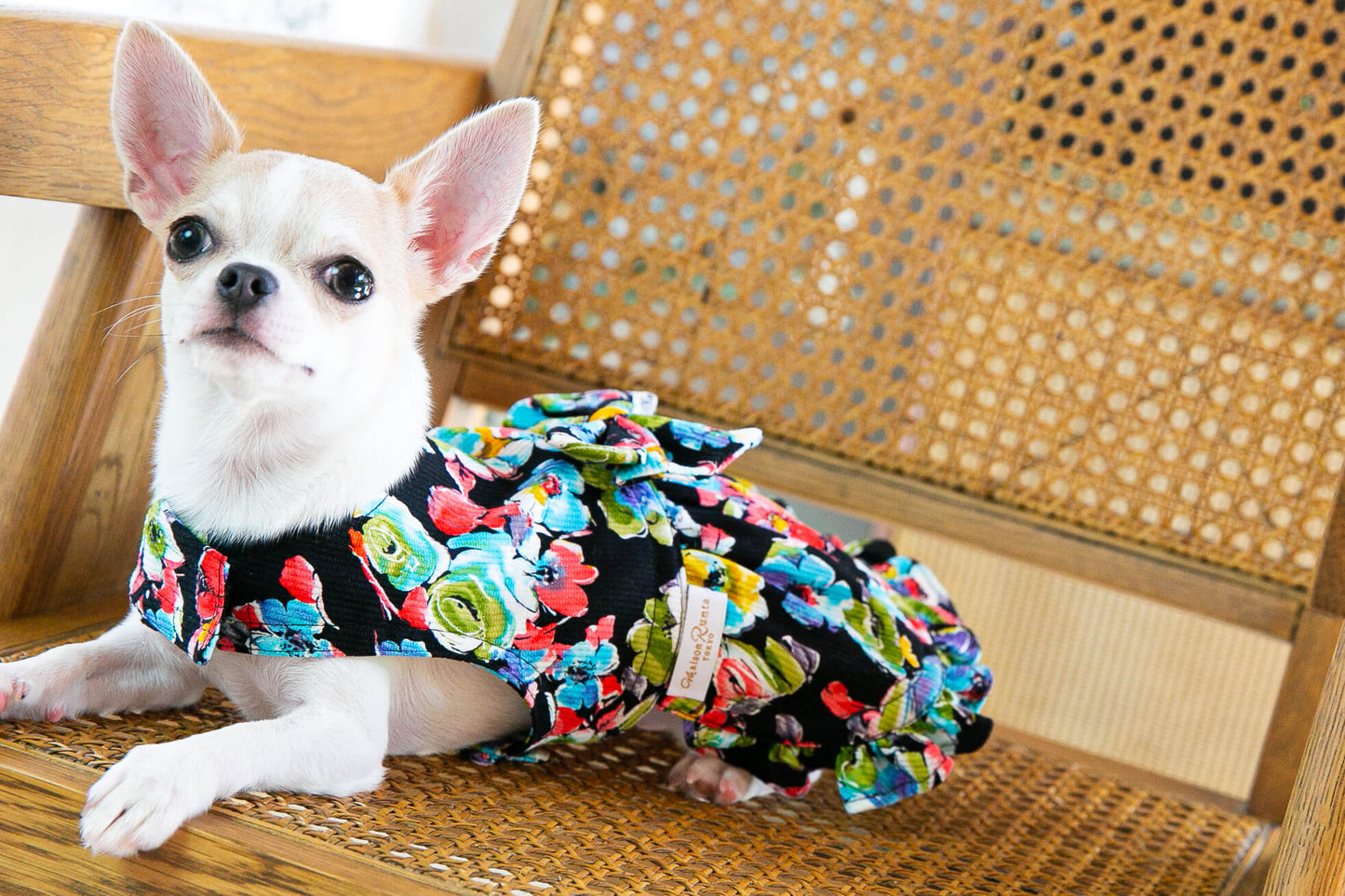 Dress Floral
