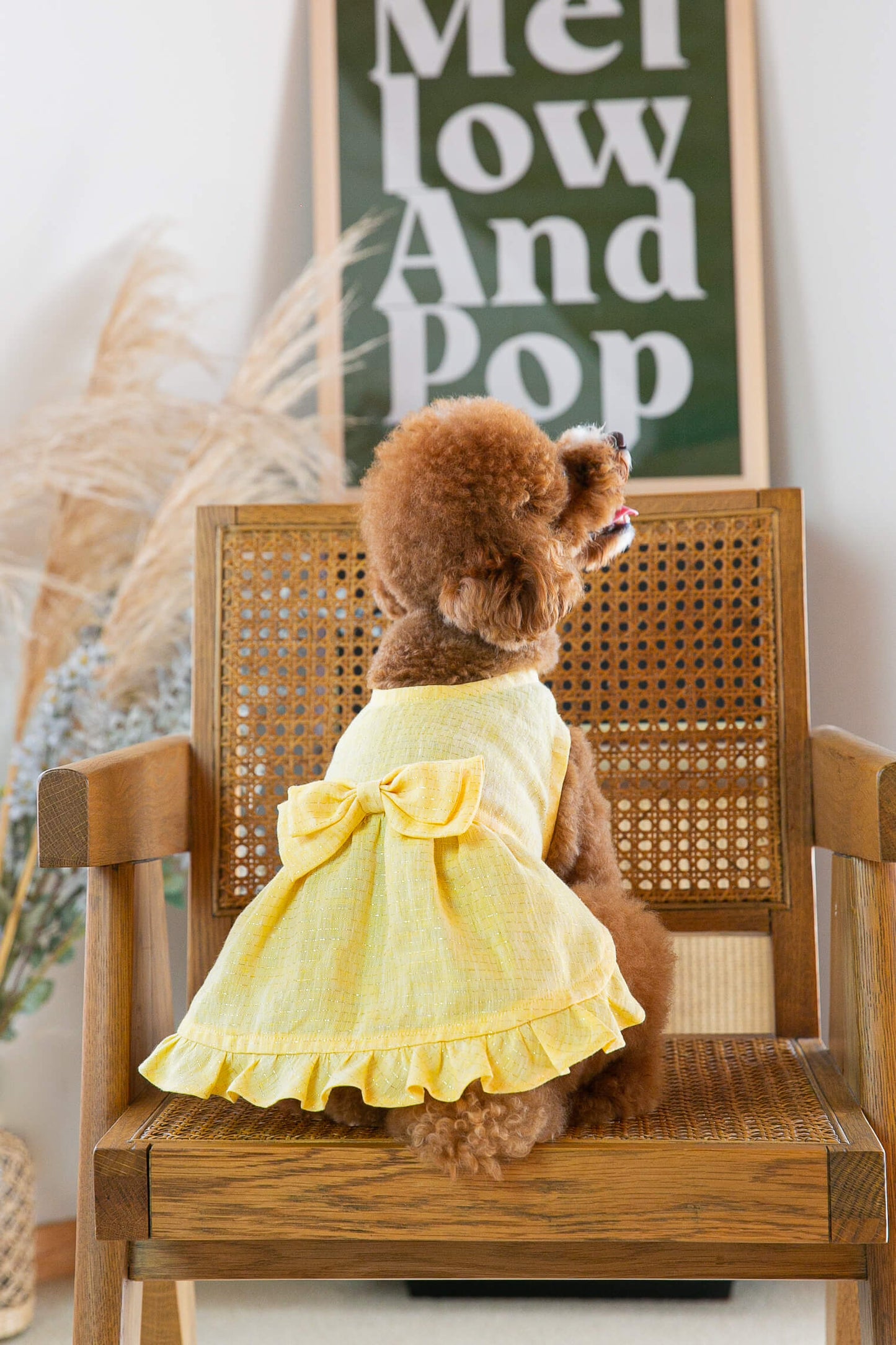 Dress Swiss yellow