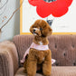 Dress Chanel tweed (Pink)