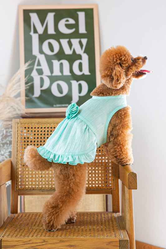 Dress Tiffany