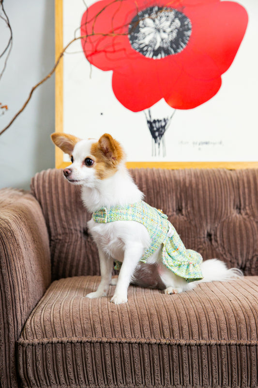 Dress Chanel tweed (Lime green)