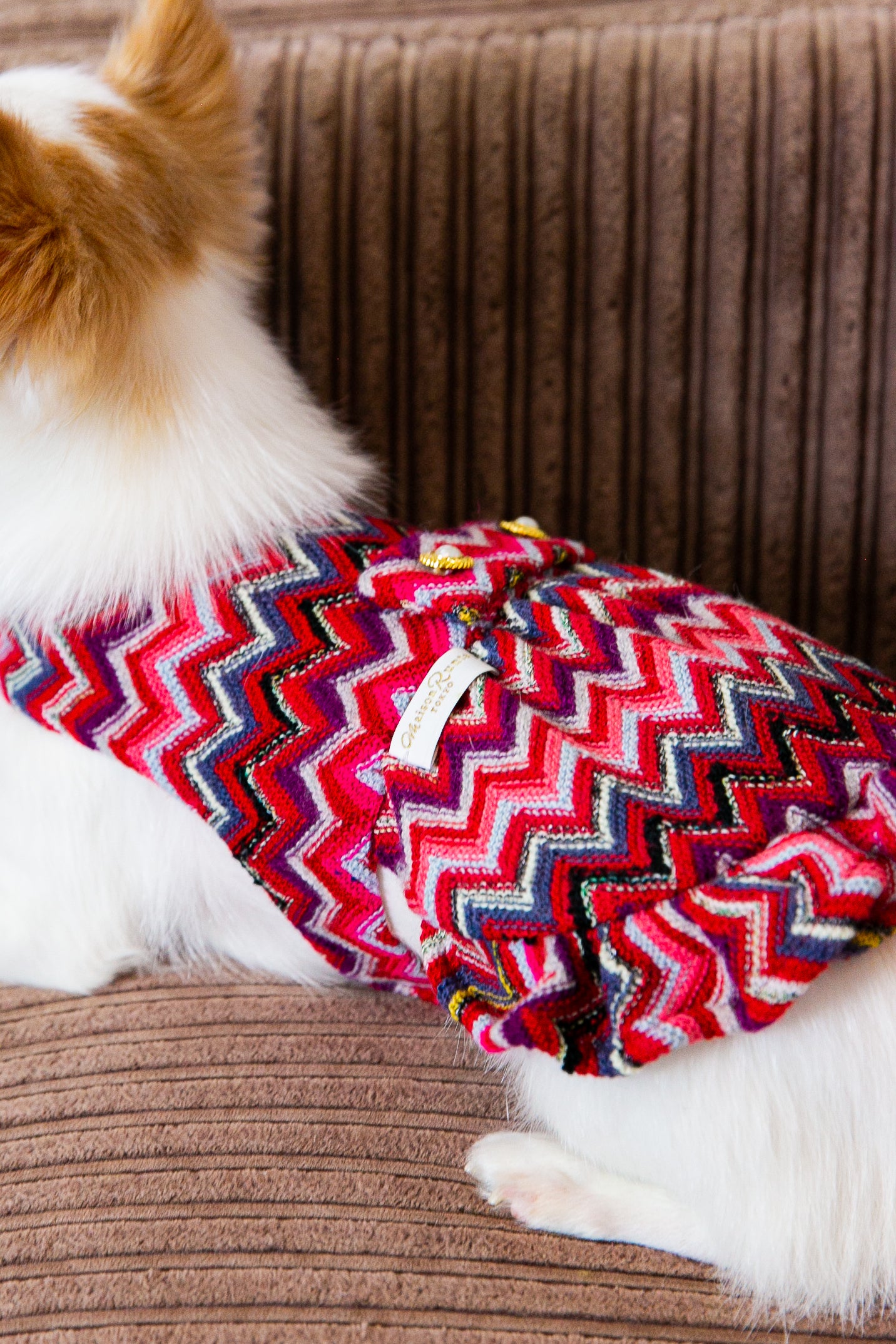 Dress Zigzag (horizontal line)